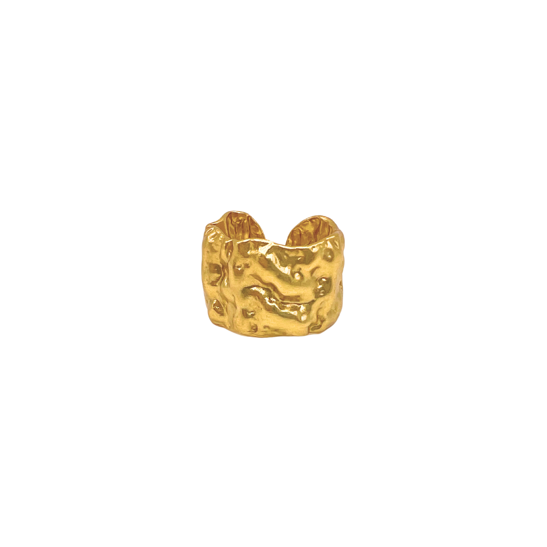 The Terra Ring